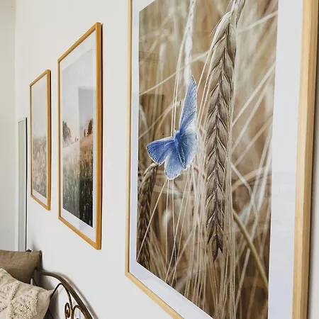 Tadina Vakantieboerderij Gualdo Tadino